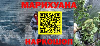 амф Гатчина
