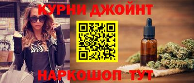 стаф Гай