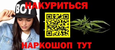 стаф Гай