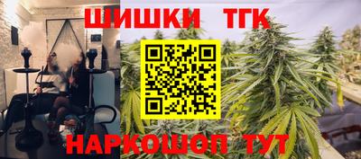 стаф Гай