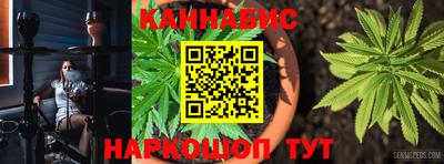 стаф Гай