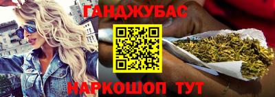 стаф Гай