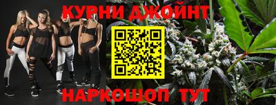 амф Гатчина