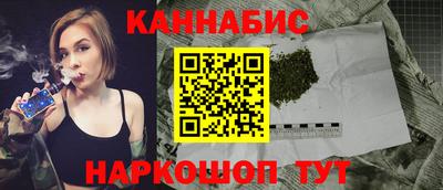 стаф Гай
