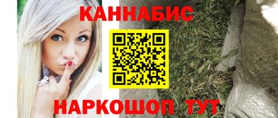 стаф Гай