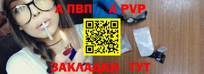 стаф Гай