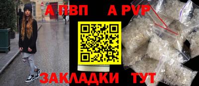 стаф Гай