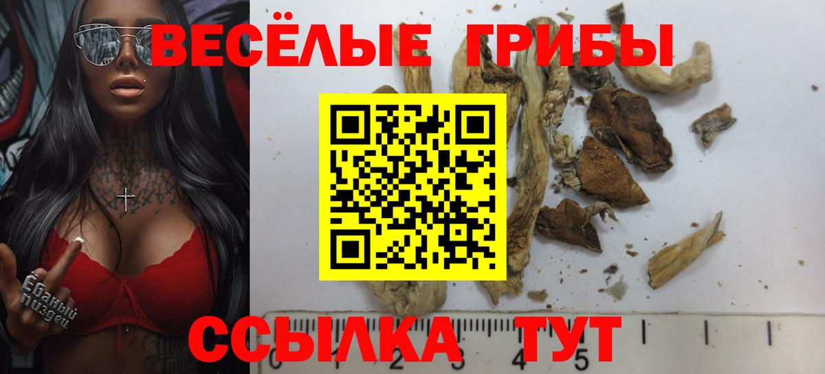 Чапаевск  Псилоцибиновые грибы Cubensis  Вход с VPN 